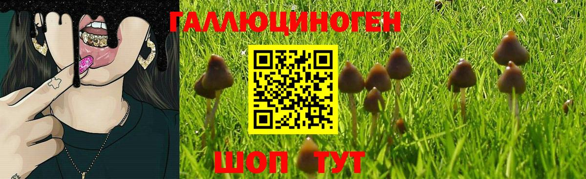 Псилоцибиновые грибы Cubensis  Галлюциногенные грибы ЛСД  Старая Купавна  даркнет сайт  Вход с VPN 